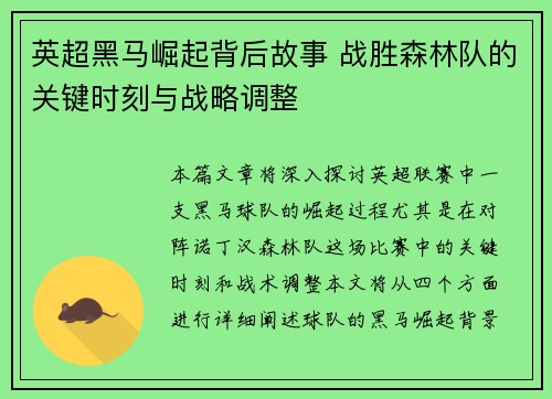 英超黑马崛起背后故事 战胜森林队的关键时刻与战略调整