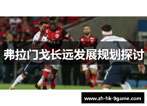 弗拉门戈长远发展规划探讨